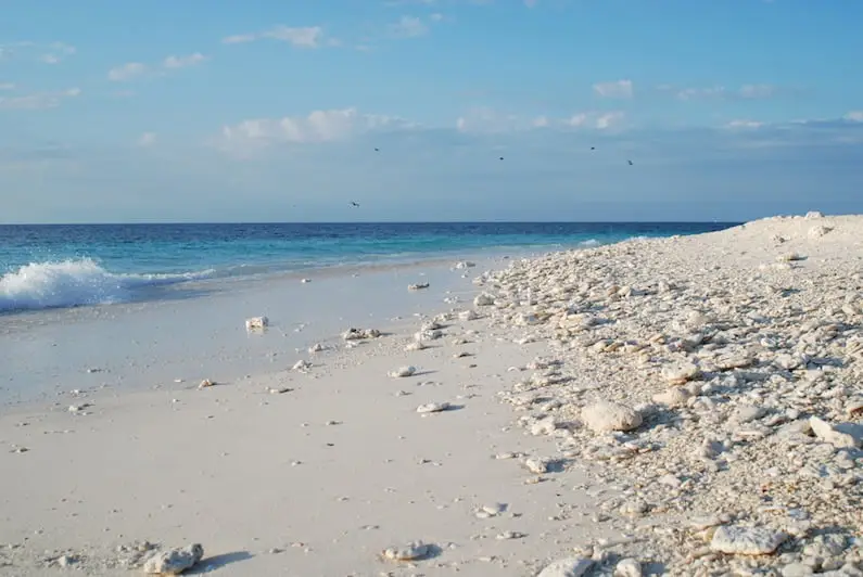 Beach, Wilson Island (2)