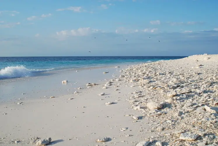 Glamping On The Great Barrier Reef
