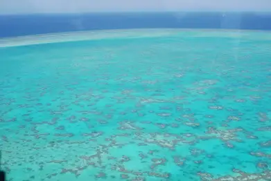 Wistari Reef