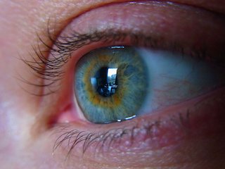 Seeing The World Through Lasered Eyes