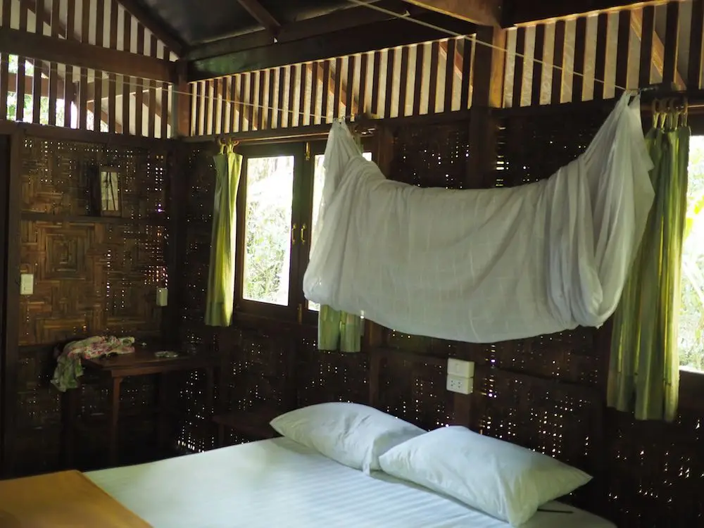 Our Jungle House room