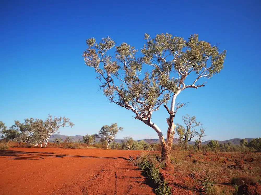 Red dirt road, Karijini National Park, Western Australia Red dirt road Karijini National Park Western Australia
