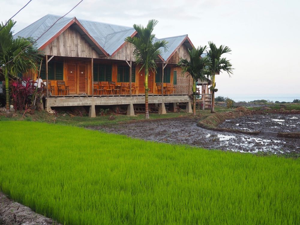 Martin Homestay surrounded by rice fields