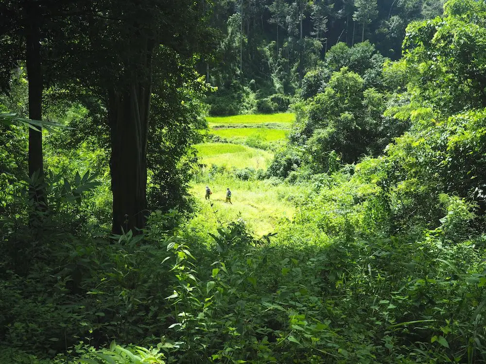 Tham Lod trek