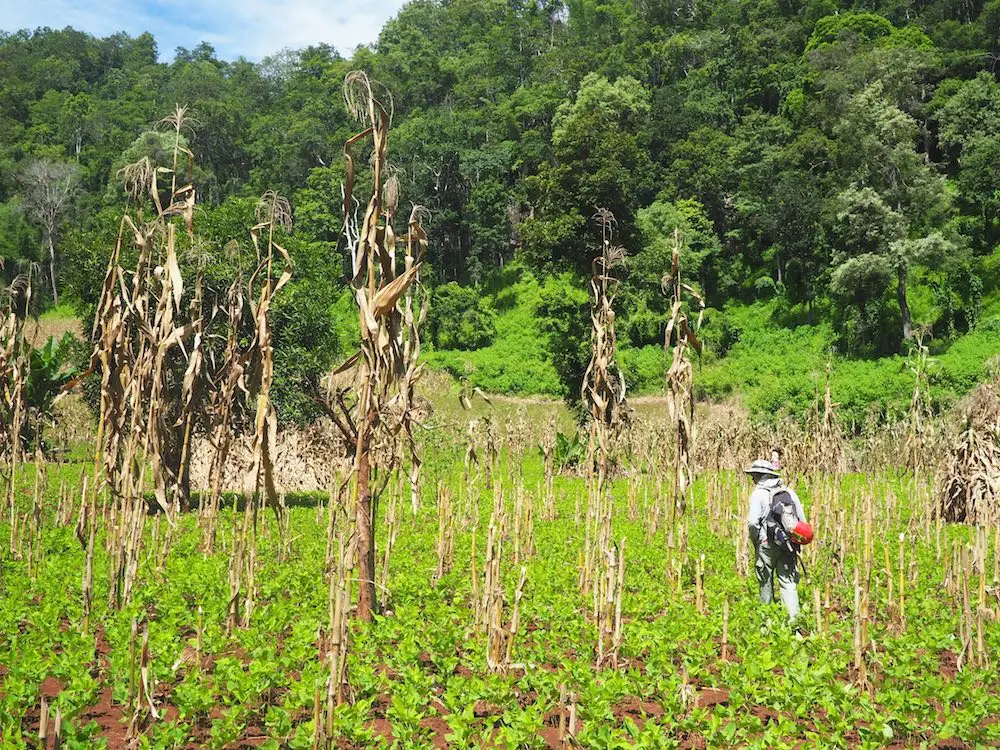 Tham Lod trek