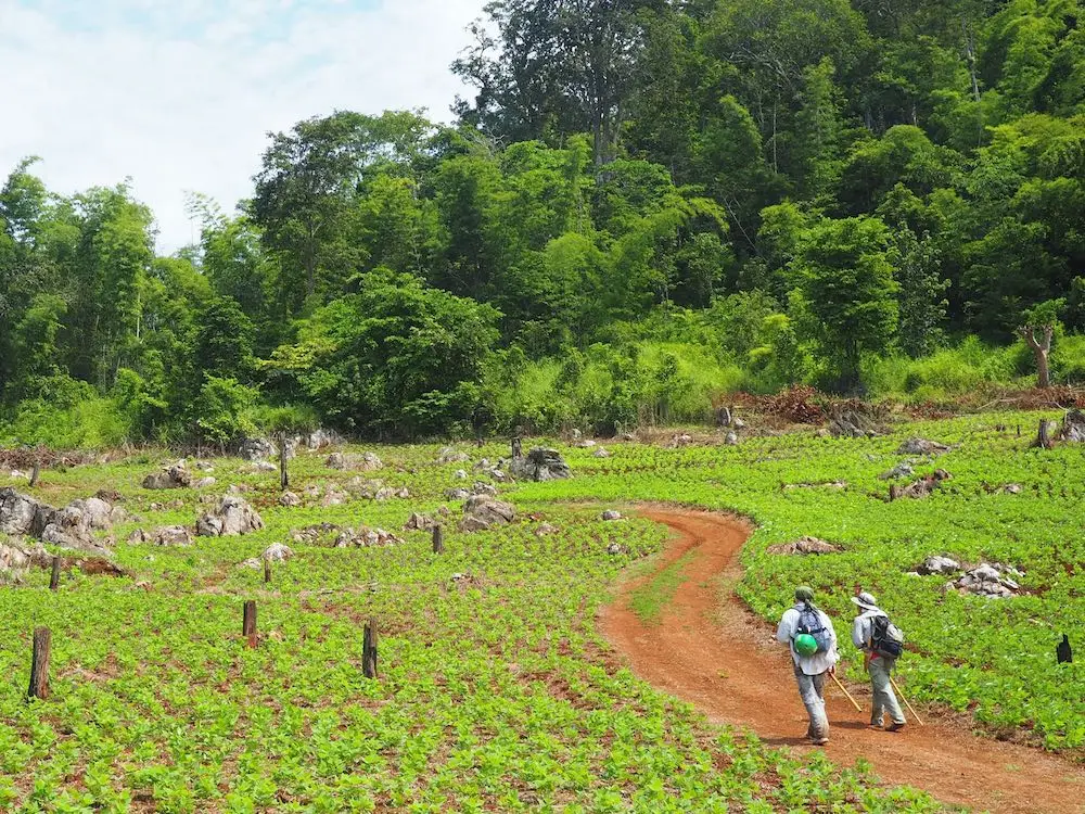 Tham Lod trek