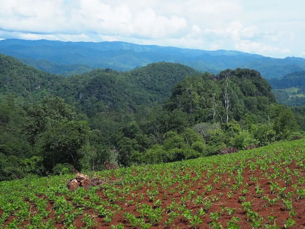 View towards Myanmar