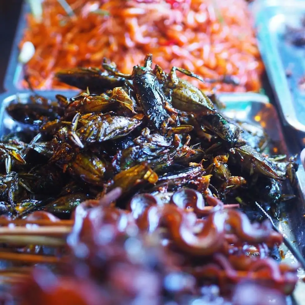Fried bugs