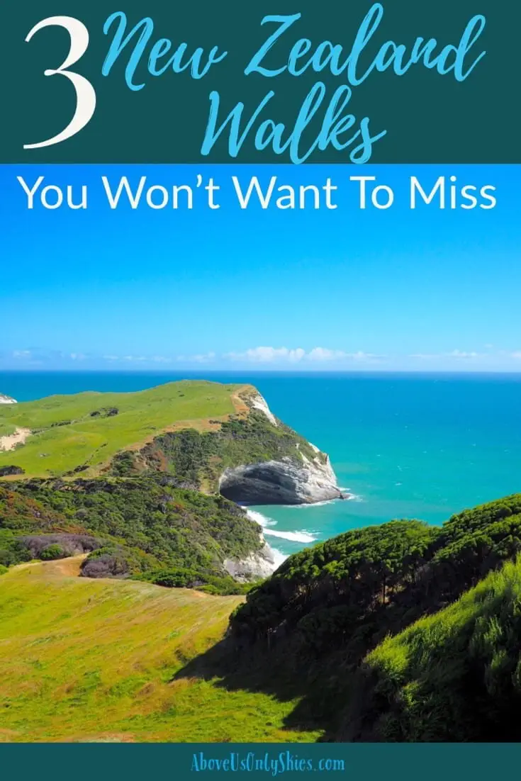 3 New Zealand Walks 0 You Wont Want To Miss