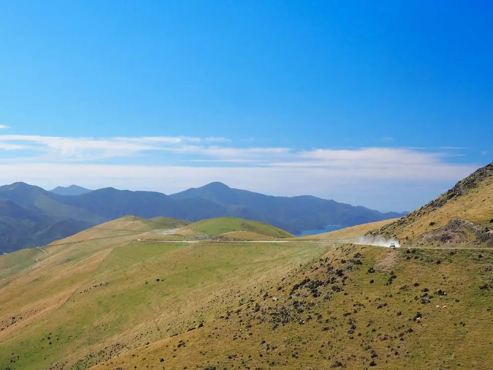 En route to French Pass NZ.