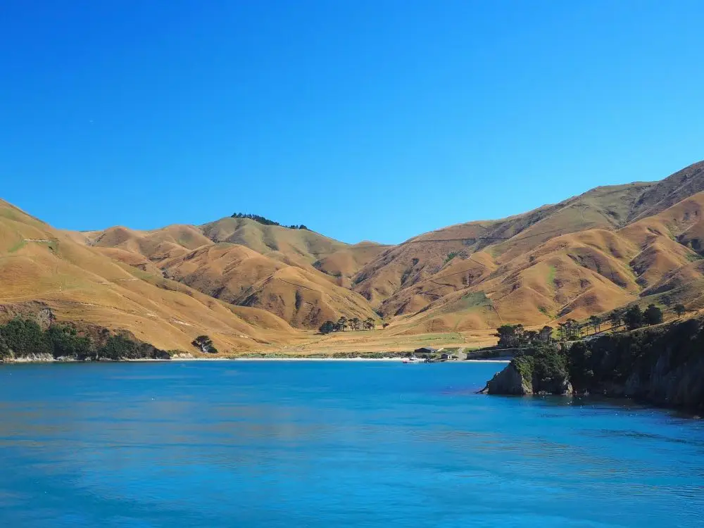 View of Charlotte Sound from the ferry crossing Wellington to Picton