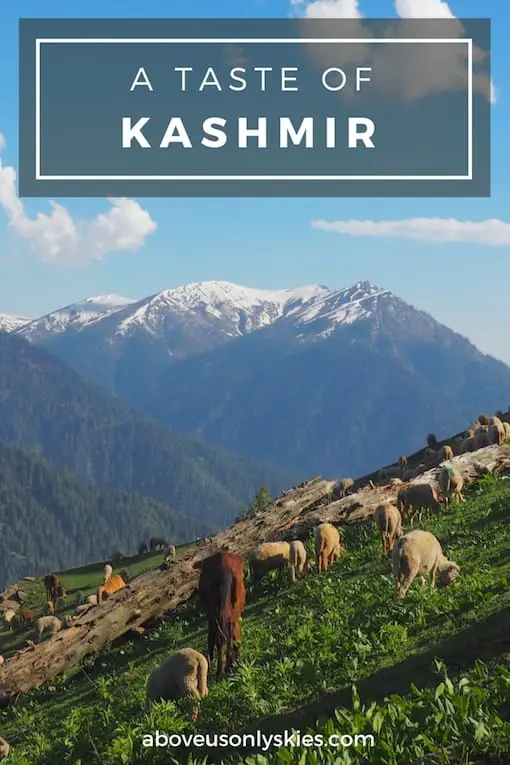 A TASTE OF KASHMIR..
