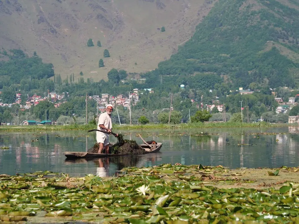A fisherman on Dal Lake, Srinagar