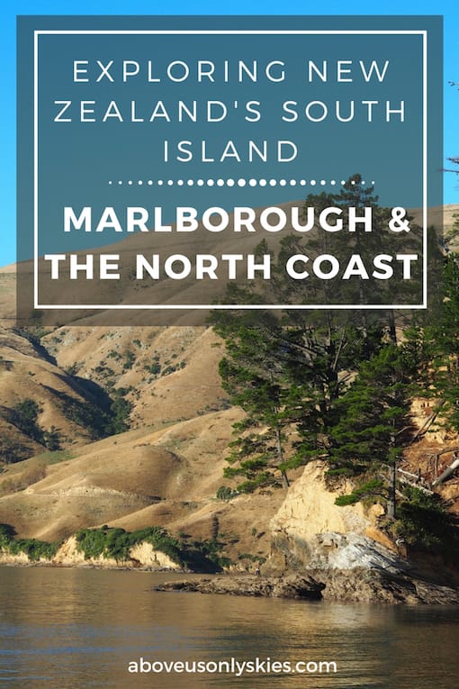 EXPLORING NEW ZEALANDS SOUTH ISLAND MARLBOROUGH AND THE NORTH COAST....