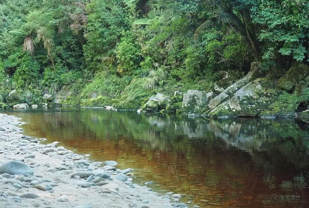 Explore New Zealand’s South Island – The West Coast