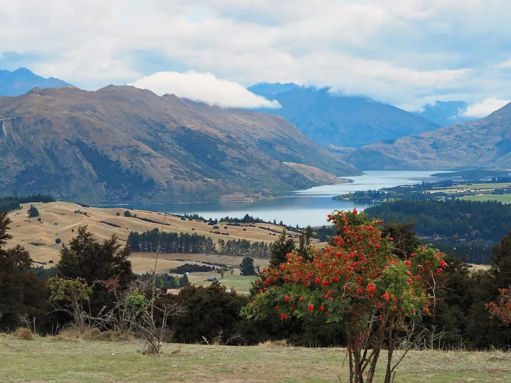 Wanaka
