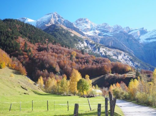 The Blazing Autumn Colours Of The French Pyrenees