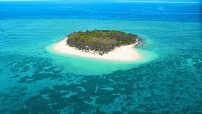 Wilson Island Great Barrier Reef