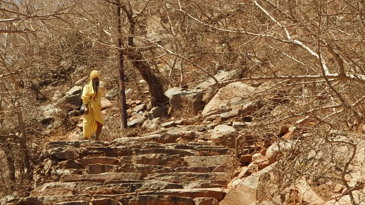 A sadhu Pushkar