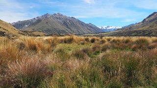 EXPLORING NEW ZEALANDS SOUTH ISLAND THE EAST COAST AND MOUNT COOK