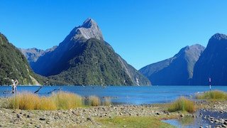 THE DAY WE FLEW INTO MILFORD SOUND