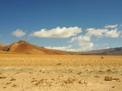 LEH TO MANALI HIGHWAY, India