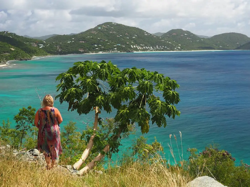 Nicky standing next to a papaya tree looking out over Apple Bay