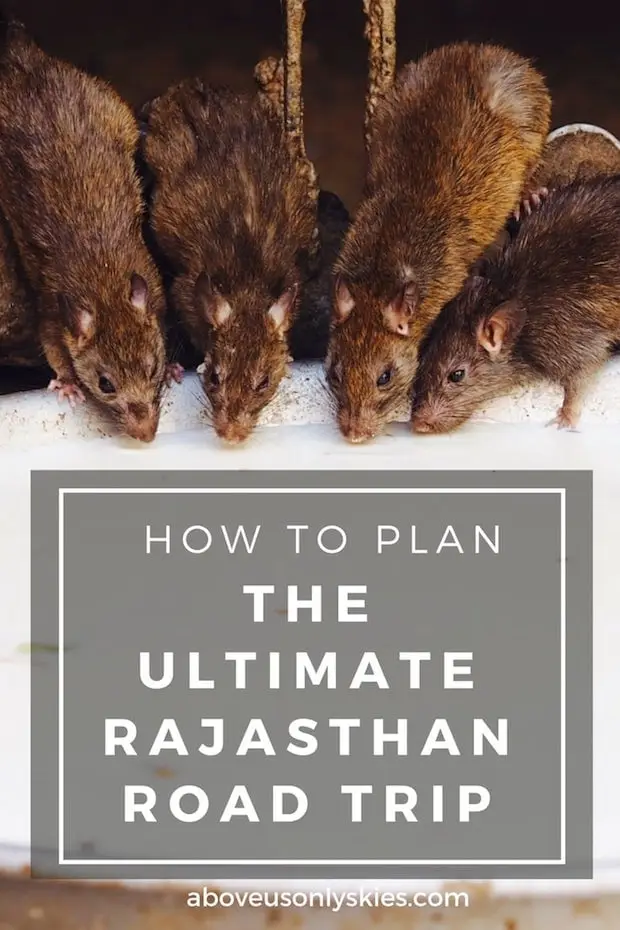 How to explore stunning Rajasthan, India's Land of the Maharajas, the smart way by following our ultimate road trip over 16 days