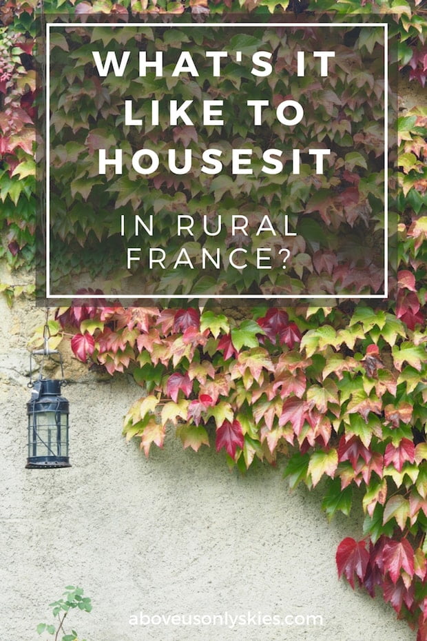 Everything you need to know about housesitting in the magnificent French countryside