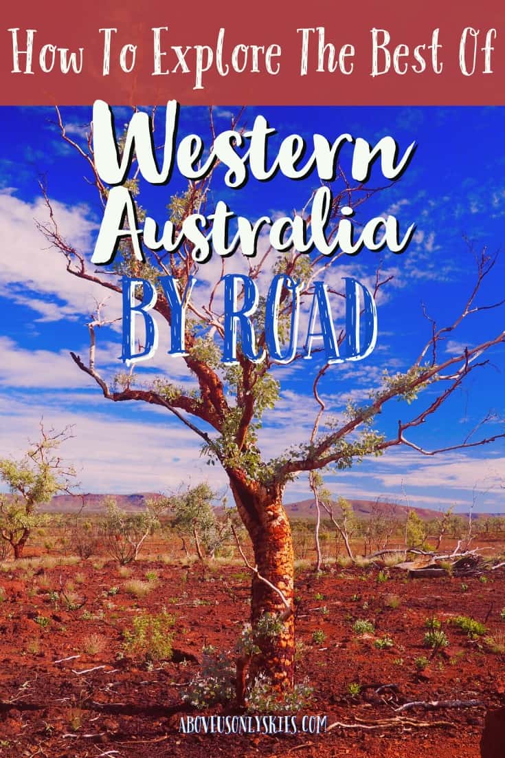 Spider-walk through gorges, swim with whale sharks and fall asleep to the sound of howling dingoes as you explore Western Australia on our 21-day road trip #WesternAustralia #AustralianTravel #AustraliaTravelItineries #NingalooReef #KarijiniNationalPark