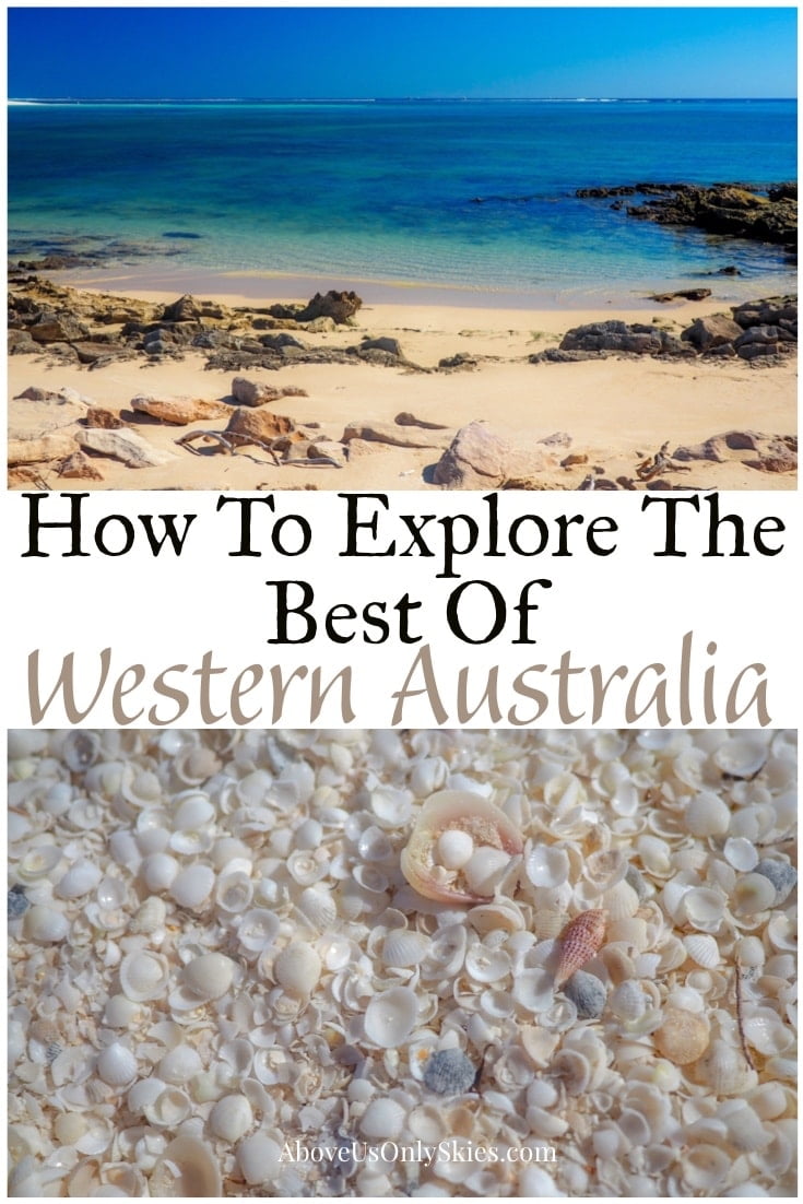 Spider-walk through gorges, swim with whale sharks and fall asleep to the sound of howling dingoes as you explore Western Australia on our 21-day road trip #westernaustraliatravel #whalewatching #roadtripdestinations #whales #australiatravel #perth #oceania #westernaustralia 