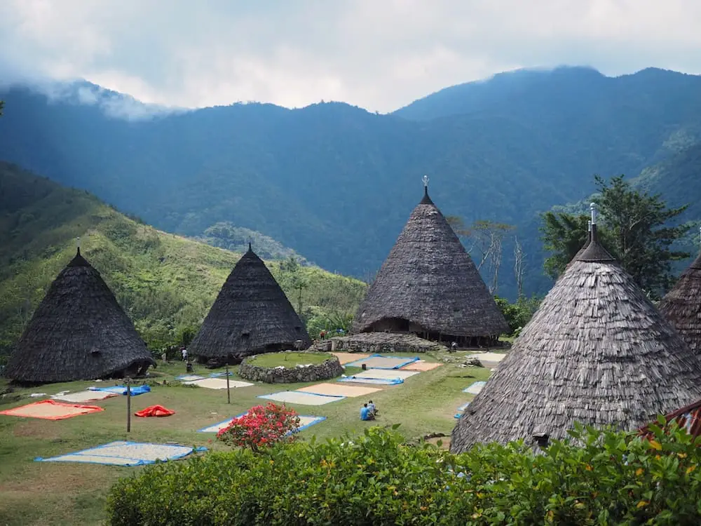 Wae Rebo houses Flores