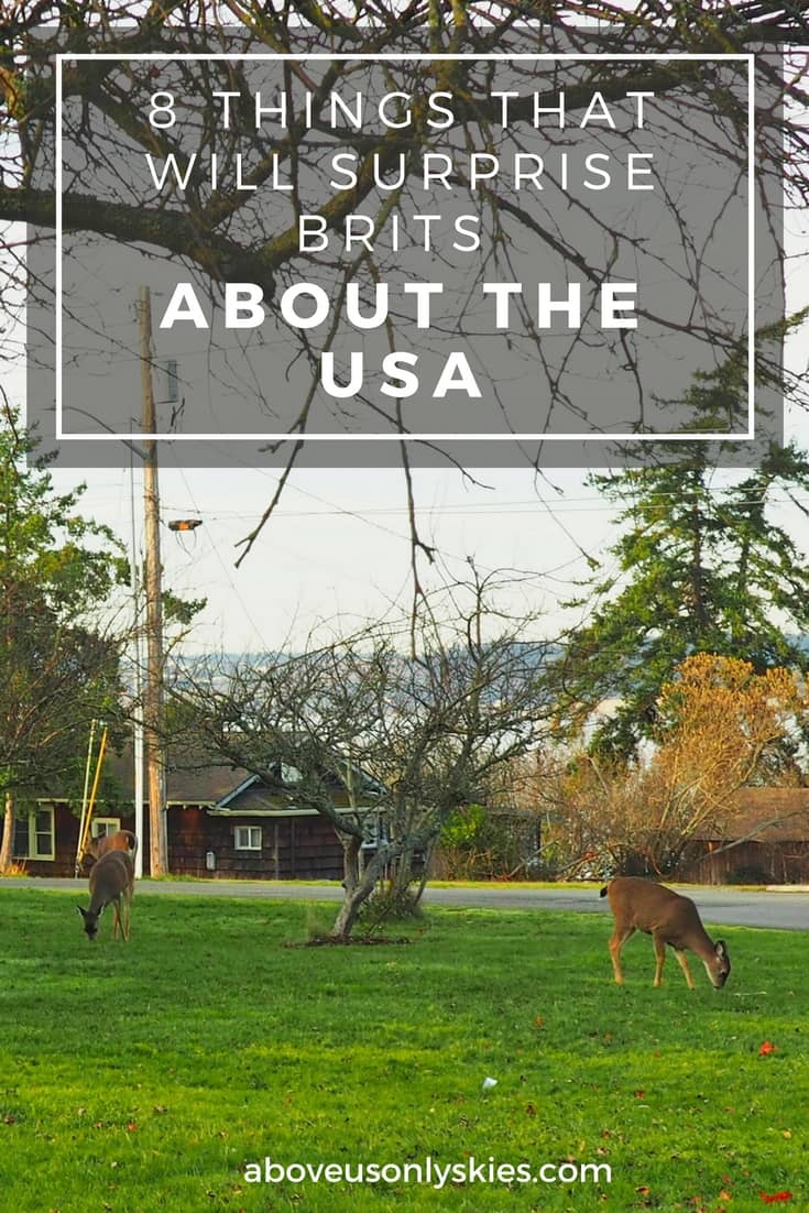 8 THINGS THAT WILL SURPRISE BRITS ABOUT THE USA.