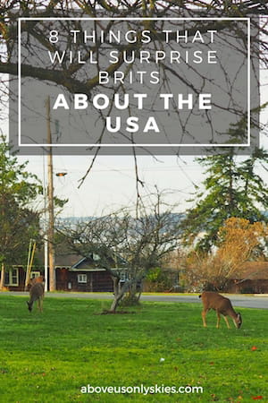 8 THINGS THAT WILL SURPRISE BRITS ABOUT THE USA