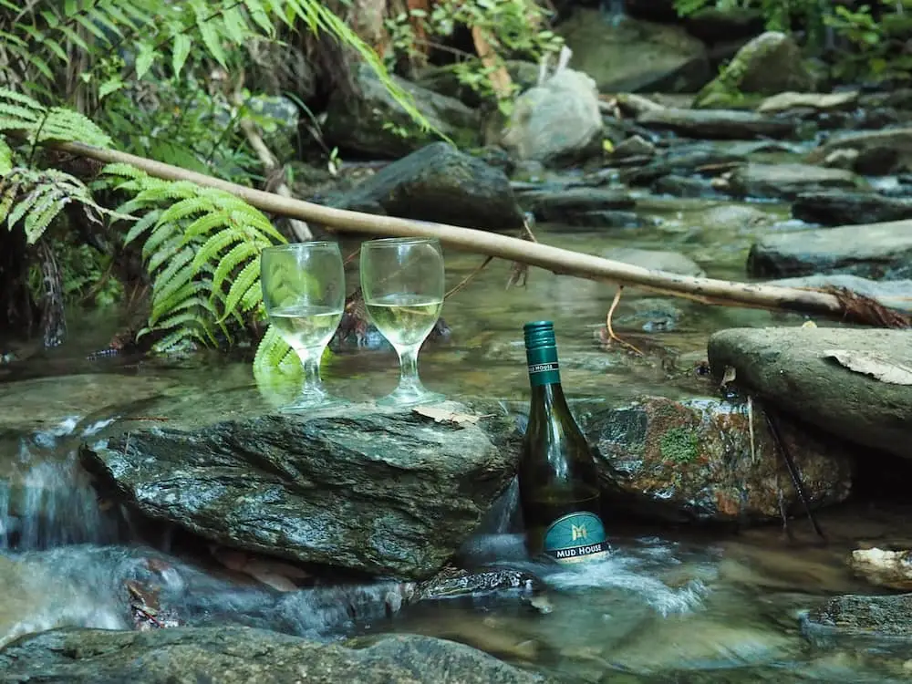Bottle and two wine glasses