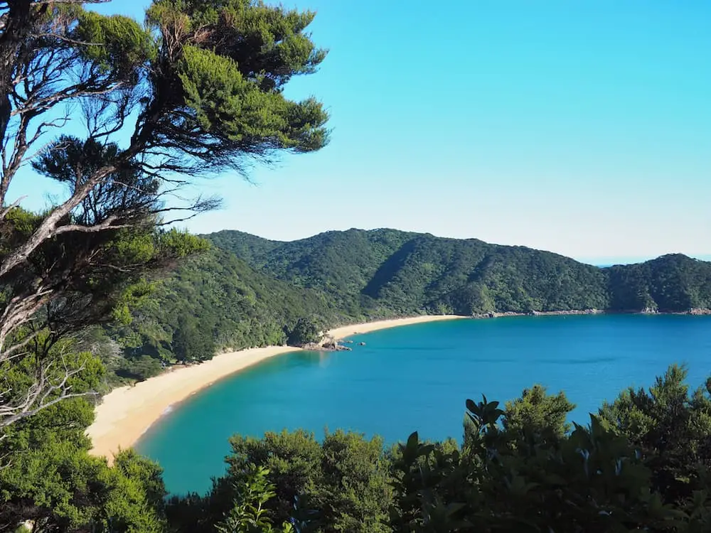 Mutton Cove New Zealand