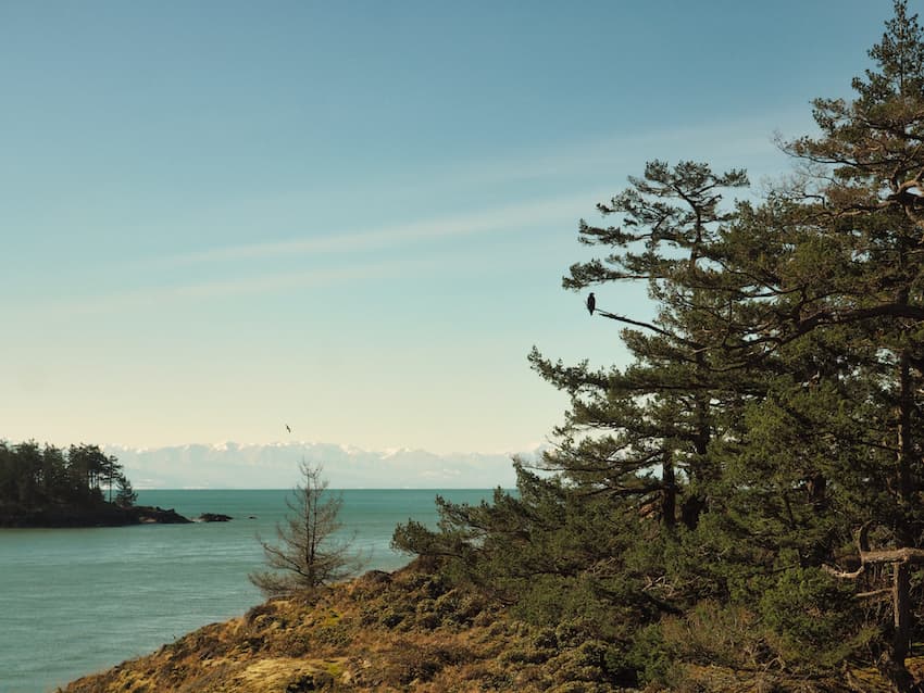 View of Olympic Mountains from Lighthouse Point Washington State
