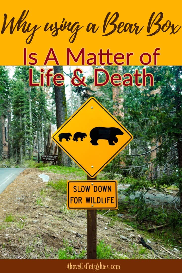 Why Using A Bear Box Is A Matter Of Life And Death