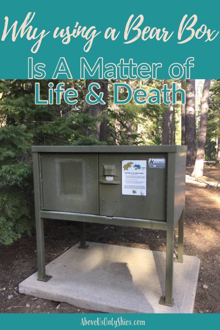 Using a bear box to store food is not only a legal requirement in certain Northern American national parks, it's also a potential lifesaver for any hungry bear that happens to wander into a campsite - here's why.. #BearBox #USANationalParks #TravelUSA #CaliforniaTravel