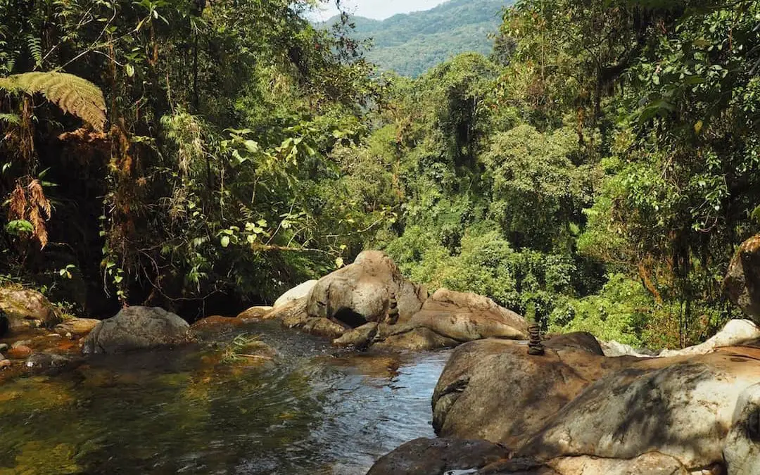 Searching For The Lost Waterfalls Of Boquete