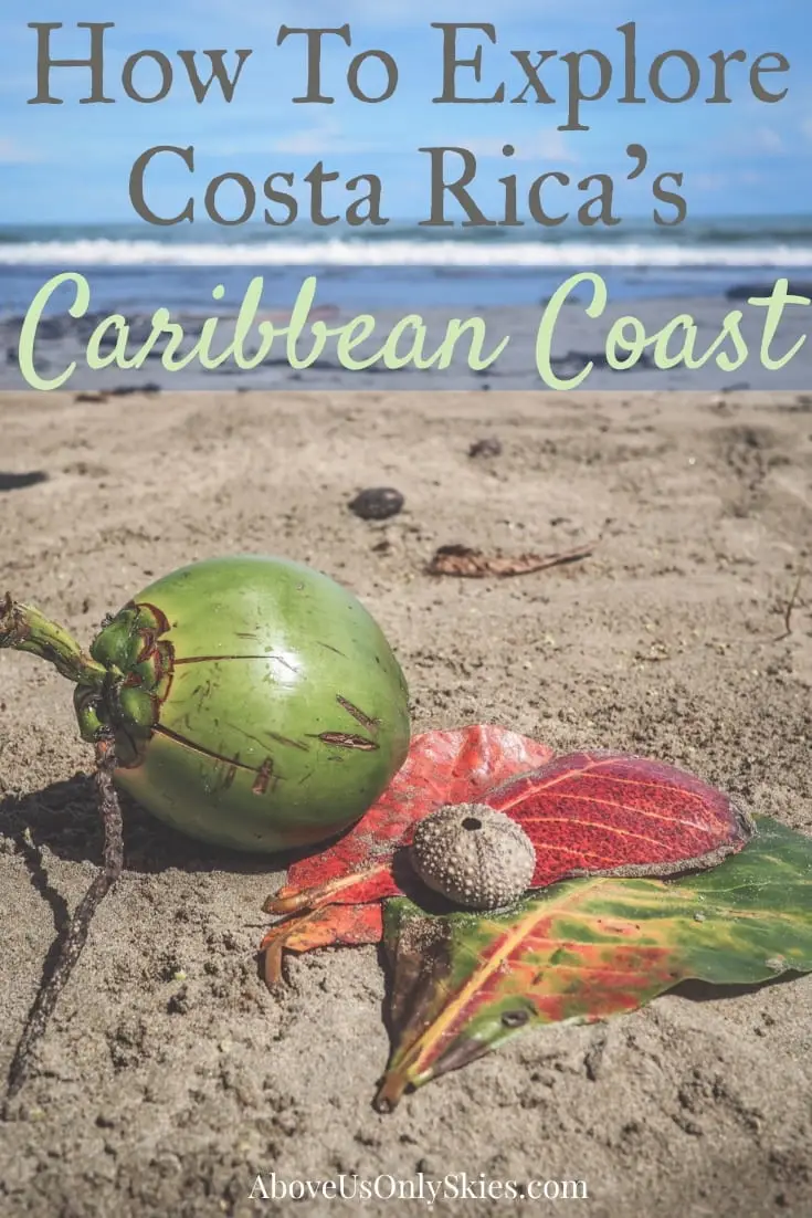 A relaxing visit to Costa Rica’s Caribbean Coast means you can enjoy the delights of both rainforest and beach. In our guide we show you how to get the best out of this area which is teeming with biodiversity. See sloths, monkeys and poison dart frogs all in their natural habitat. #couples #sloths #caribbeancoast #costaricatravel 