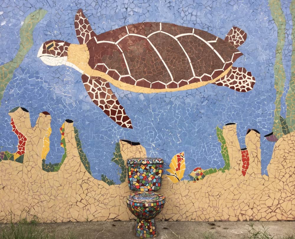 Turtle mosaic and toilet in Tortuguero