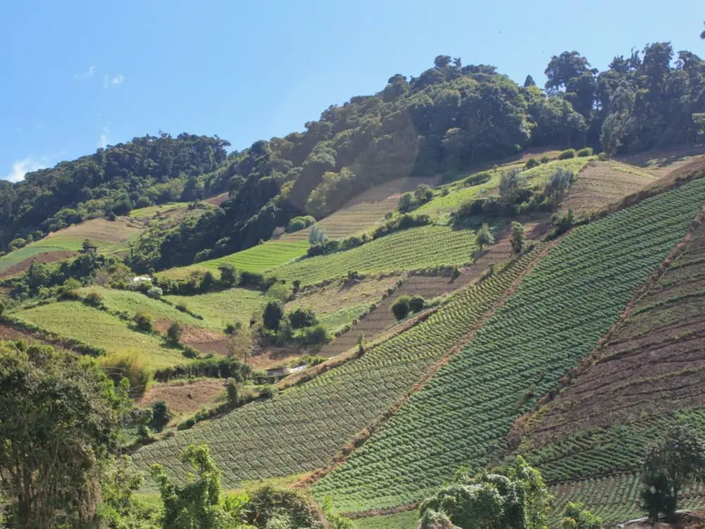 Hillsides near Cerro Punta