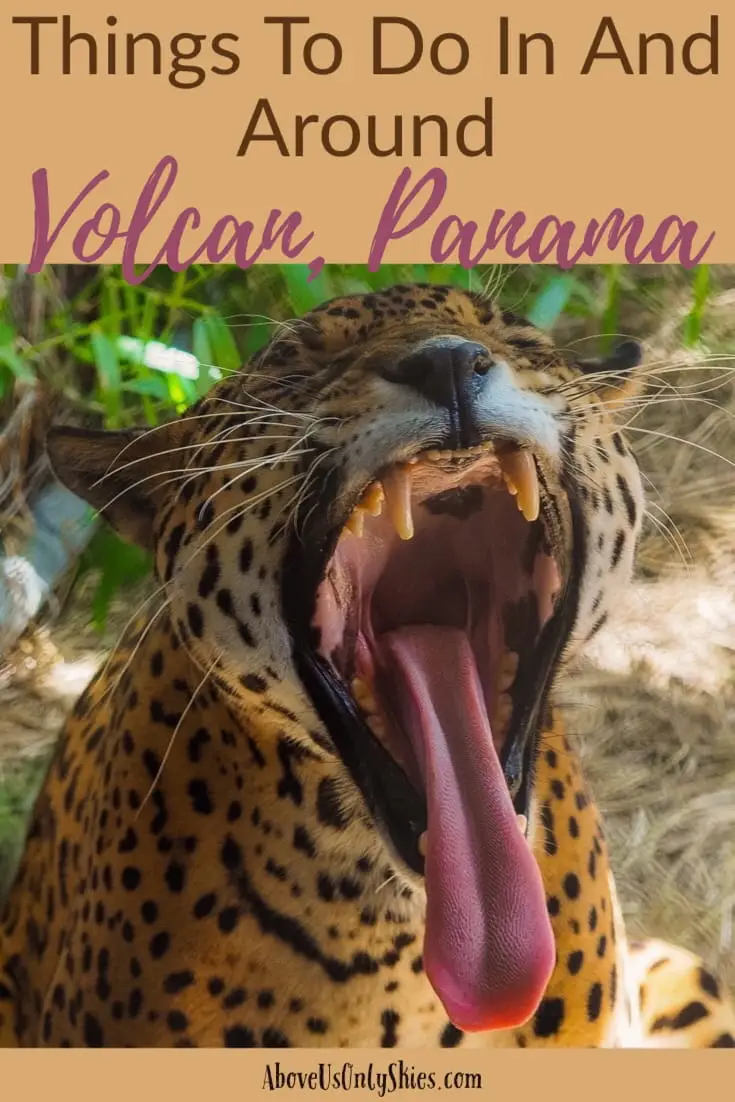 Volcan in the Chiriqui Province, Panama is a quiet, romantic town set in the foothills of Mount Baru offering fantastic hikes, glorious views and some of the best coffee in the world. Just an hour's drive from Boquete, check out our perfect guide. #mountbaru #volcanbaru #boquete #geishacoffee #sloths
