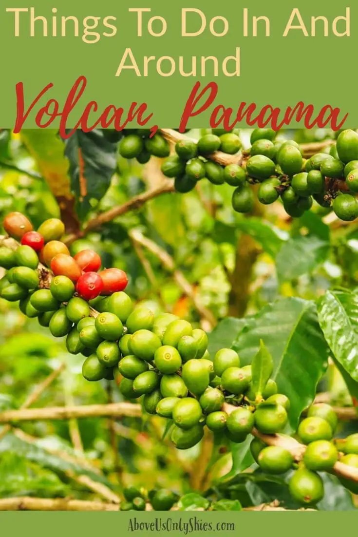 Volcan in the Chiriqui Province, Panama is a quiet, romantic town set in the foothills of Mount Baru offering fantastic hikes, glorious views and some of the best coffee in the world. Just an hour's drive from Boquete, check out our perfect guide. #mountbaru #volcanbaru #boquete #geishacoffee #sloths