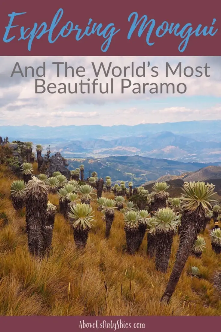 Monguí, in Colombia's Boyacá department, is one of the prettiest pueblos you’ll find. Discover artsy cafés, local markets and páramo hikes to test your fitness levels! One of Colombia’s pueblos patrimonios, or heritage towns, its cobbled streets and colonial era architecture will wow you - here’s our guide. #paramo #pueblospatrimonios #heritagetowns #boyacácolombia #colombiatravel #offthebeatentrack