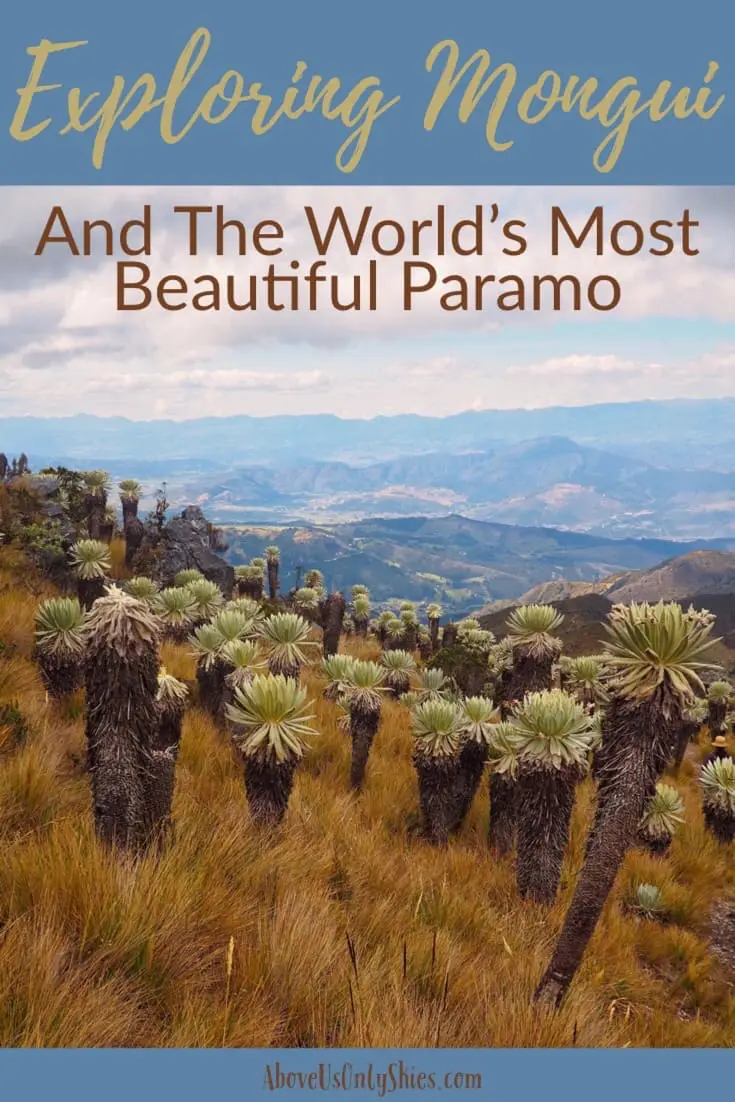 Monguí, in Colombia's Boyacá department, is one of the prettiest pueblos you’ll find. Discover artsy cafés, local markets and páramo hikes to test your fitness levels! One of Colombia’s pueblos patrimonios, or heritage towns, its cobbled streets and colonial era architecture will wow you - here’s our guide. #paramo #pueblospatrimonius #heritagetowns #boyacácolombia #colombiatravel #offthebeatentrack
