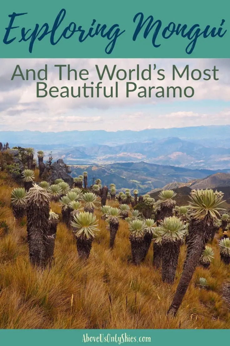 Monguí, in Colombia's Boyacá department, is one of the prettiest pueblos you’ll find. Discover artsy cafés, local markets and páramo hikes to test your fitness levels! One of Colombia’s pueblos patrimonios, or heritage towns, its cobbled streets and colonial era architecture will wow you - here’s our guide. #paramo #pueblospatrimonius #heritagetowns #boyacácolombia #colombiatravel #offthebeatentrack