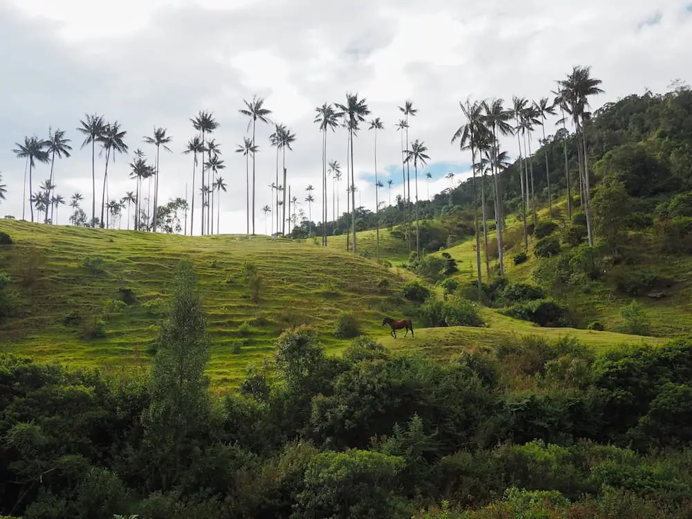 Salamina & The Samaria Valley: Colombia's Best Kept Secret