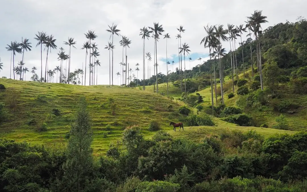 Salamina & The Samaria Valley – Colombia’s Best Kept Secret